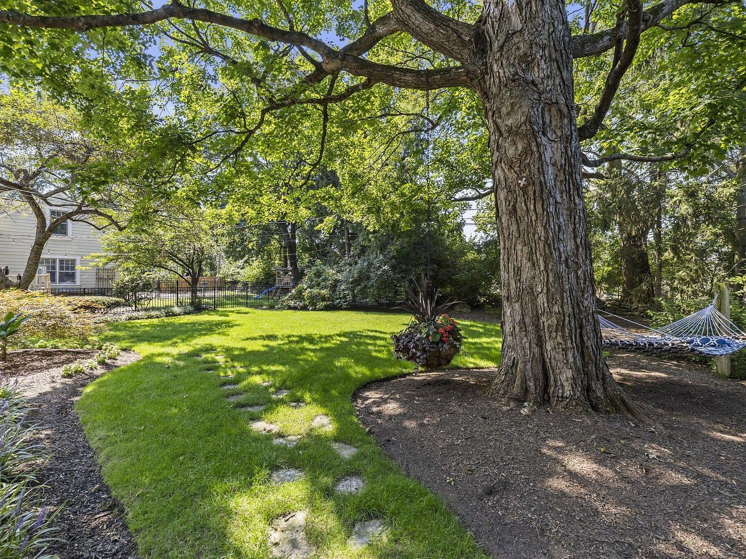 Sprawling lawn beneath a majestic shade tree canopy.