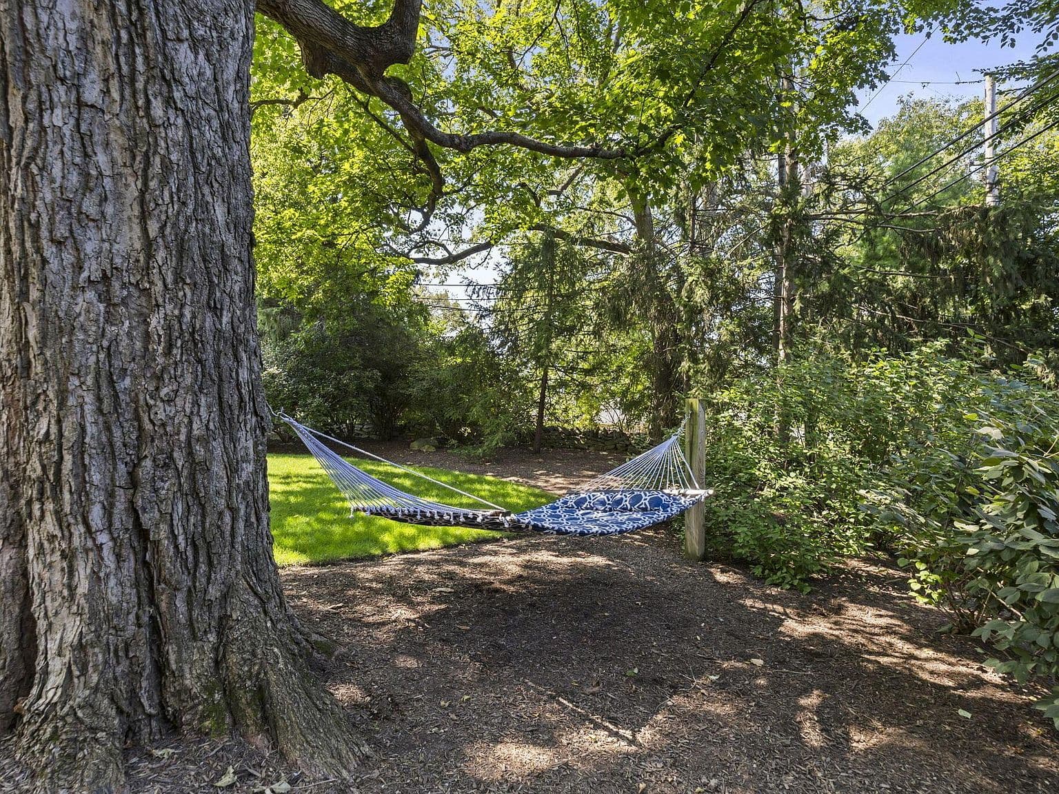Quiet hammock retreat tucked into a leafy backyard corner.