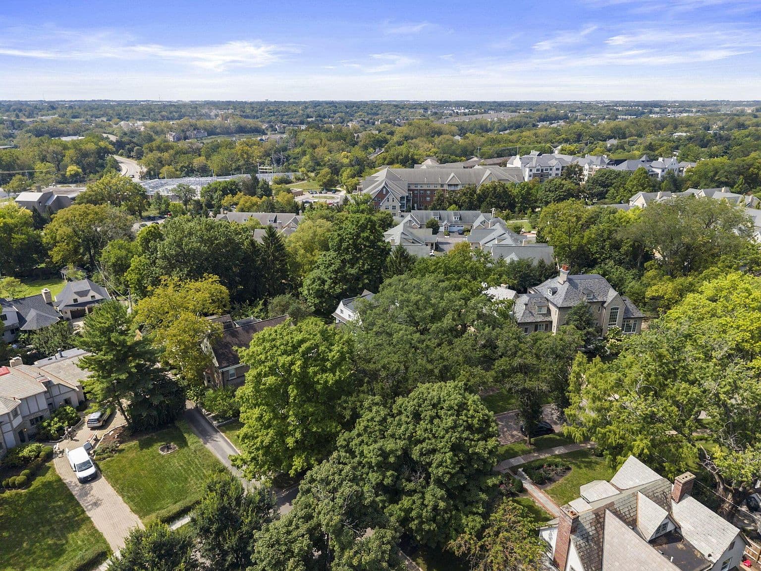 Sweeping aerial panorama with treetop views in every direction.