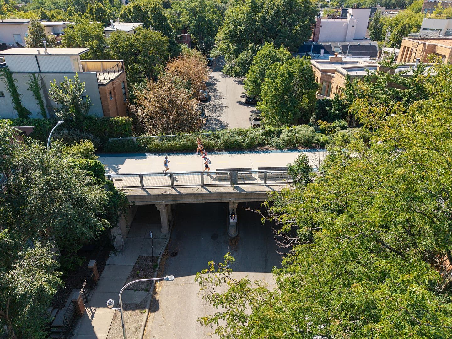 Elevated trail bridge amid greenery and neighborhood charm.