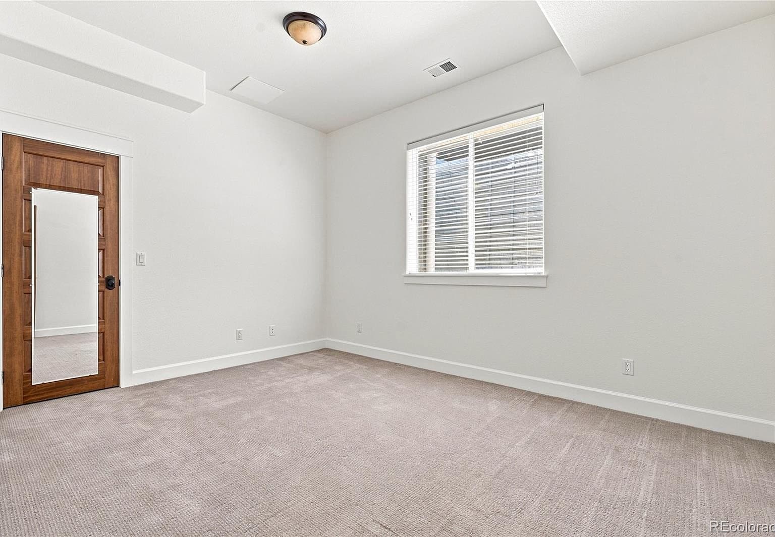 Sunny bedroom with plush carpet and modern wood door.