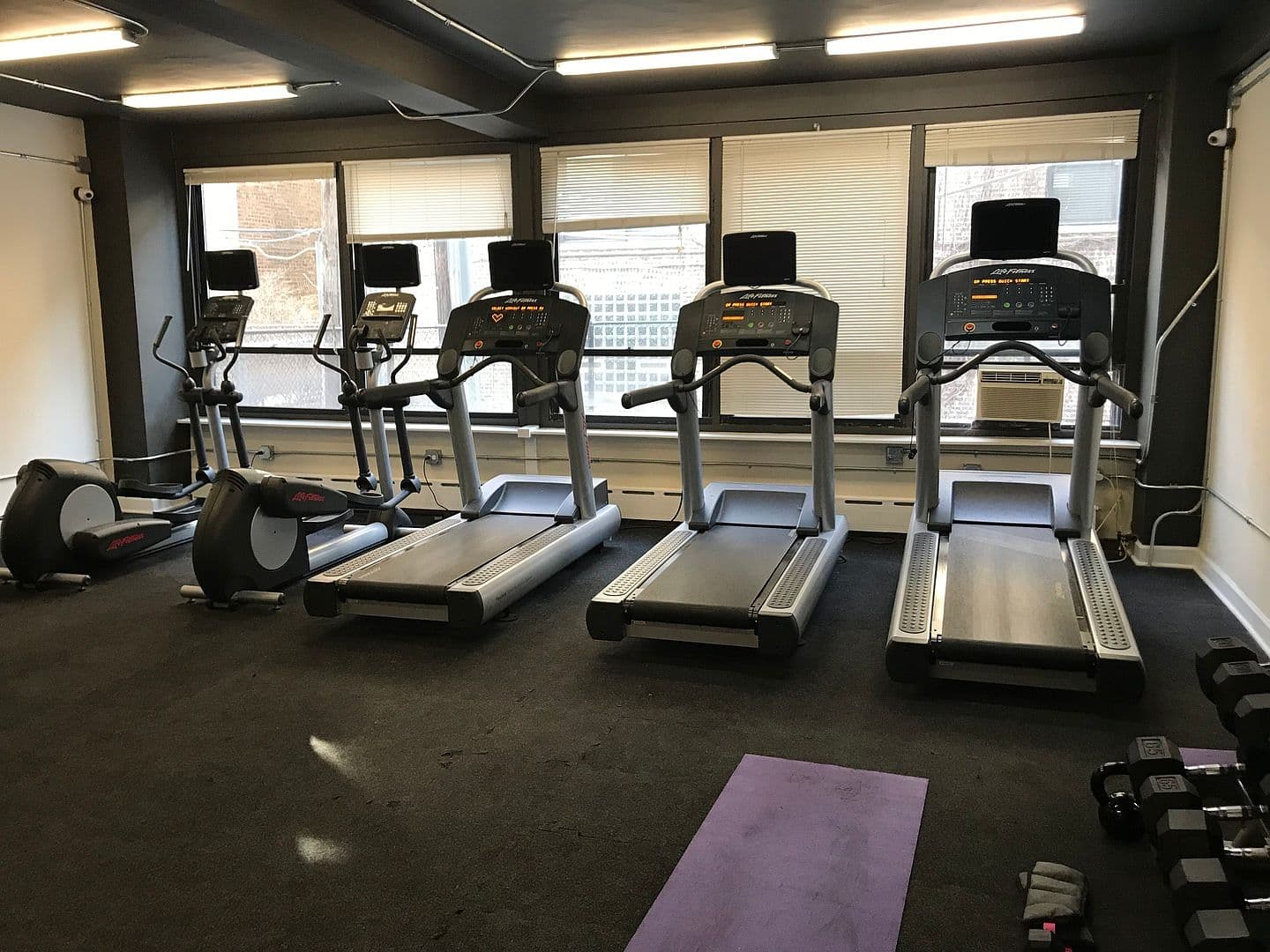 Window-lined fitness center features rows of cardio machines.